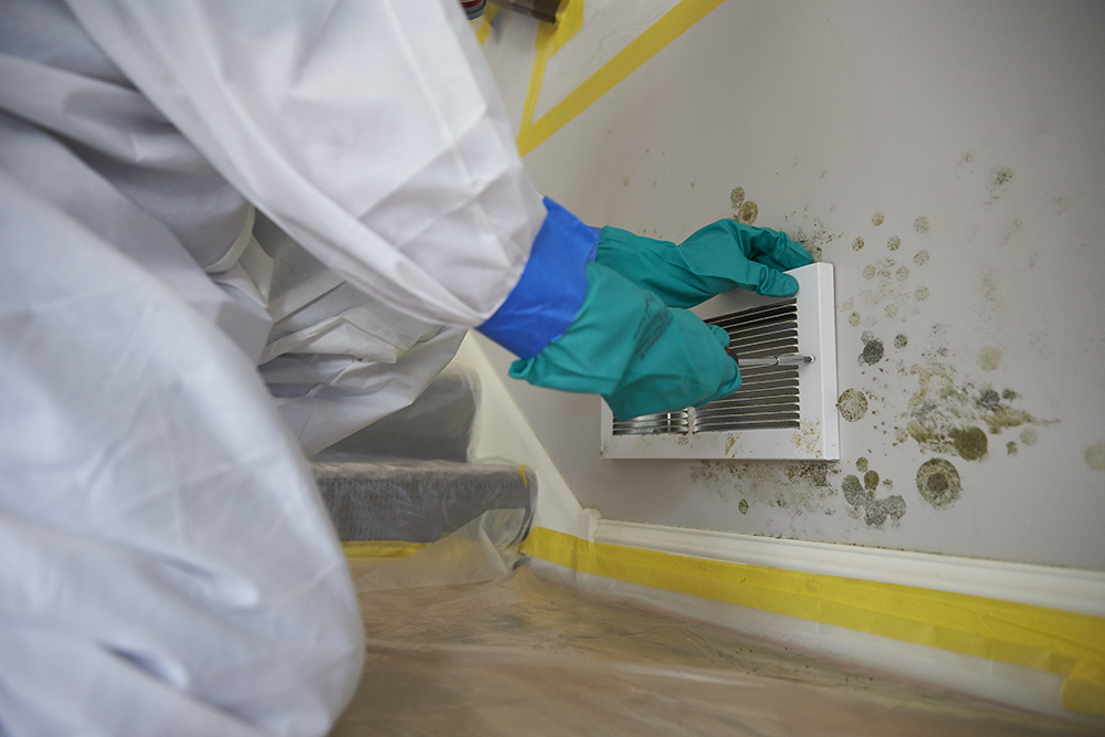 WATER DAMAGE AND MOULD REMOVAL